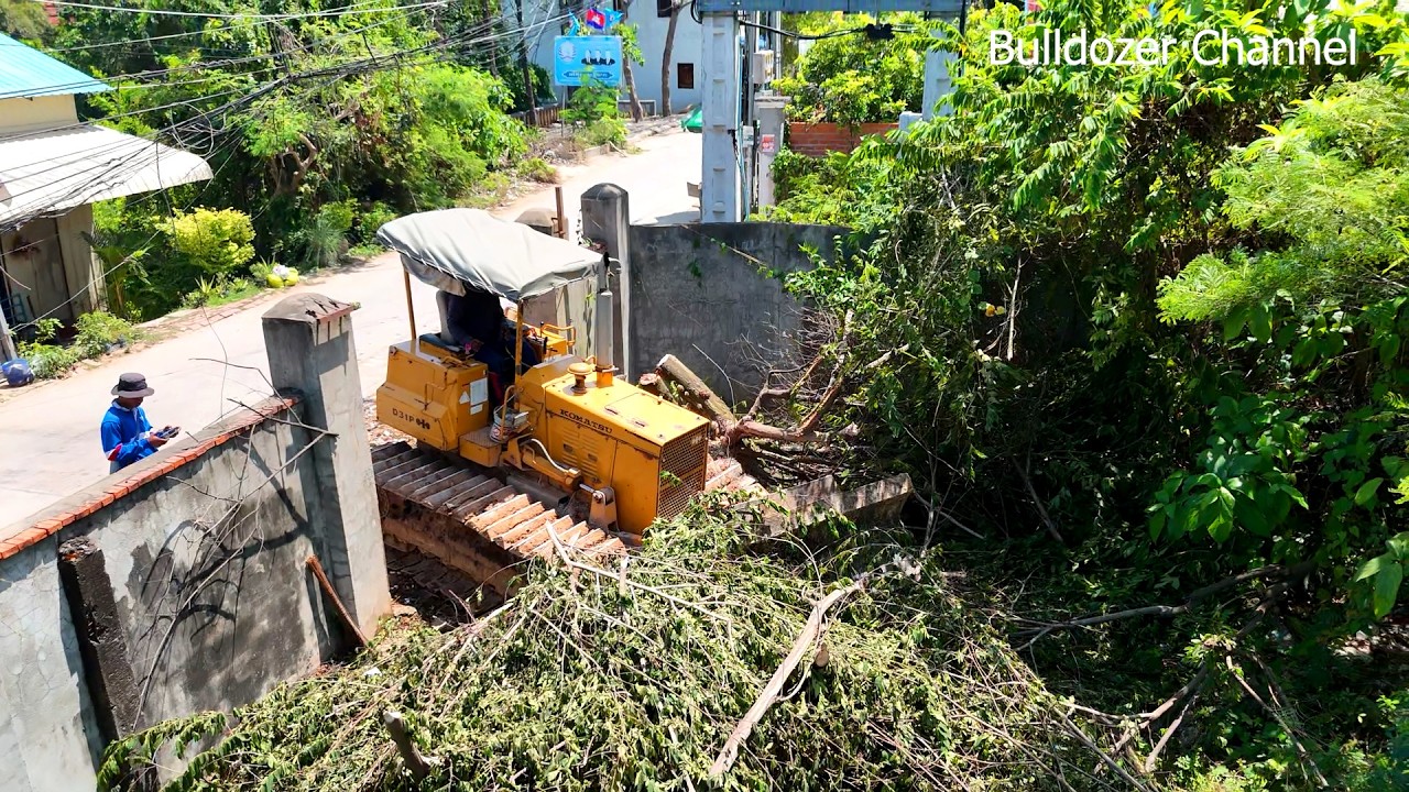 Wonderful Project Operator Skills & Clearing The Forest By Bulldozer D31P Good Forest clearing