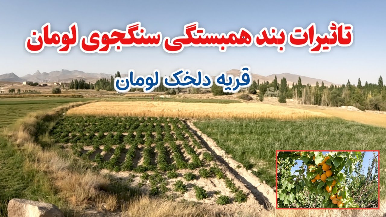 آیا بند سنگجوی لومان توانسته مشکل کم‌آبی قریه دلخک را حل کند؟