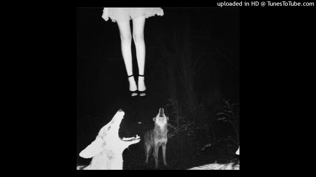 lucki + ambient + experimental type beat 