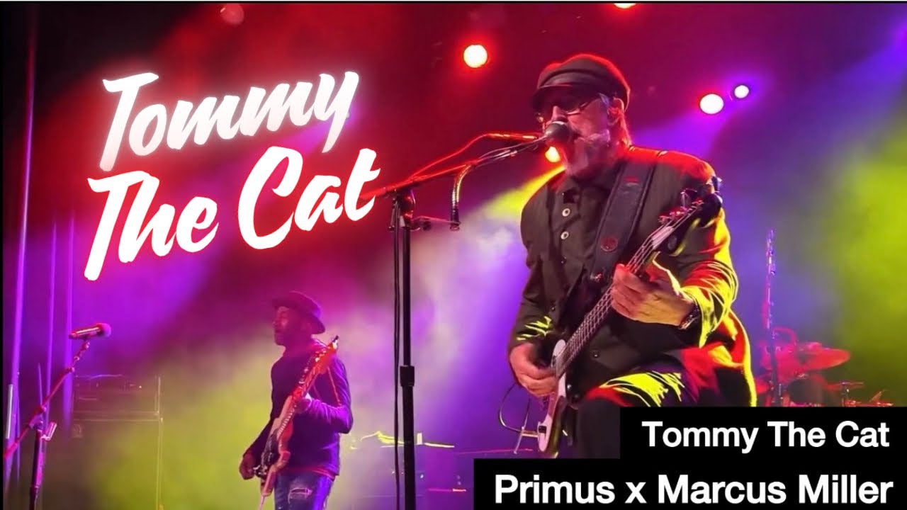 Primus x Marcus Miller | What Happens When Marcus Miller Meets Primus ?!