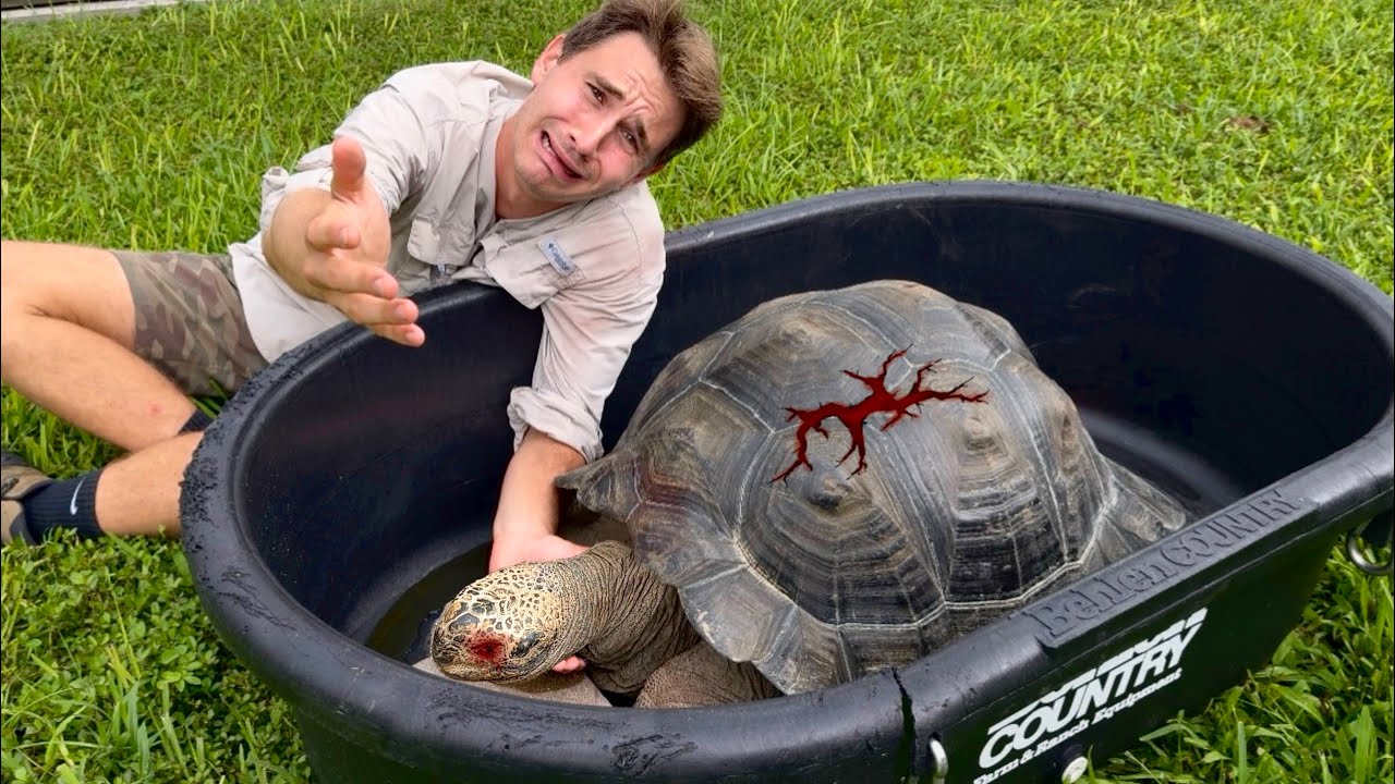 RIP… This Will Change My Zoo Forever…