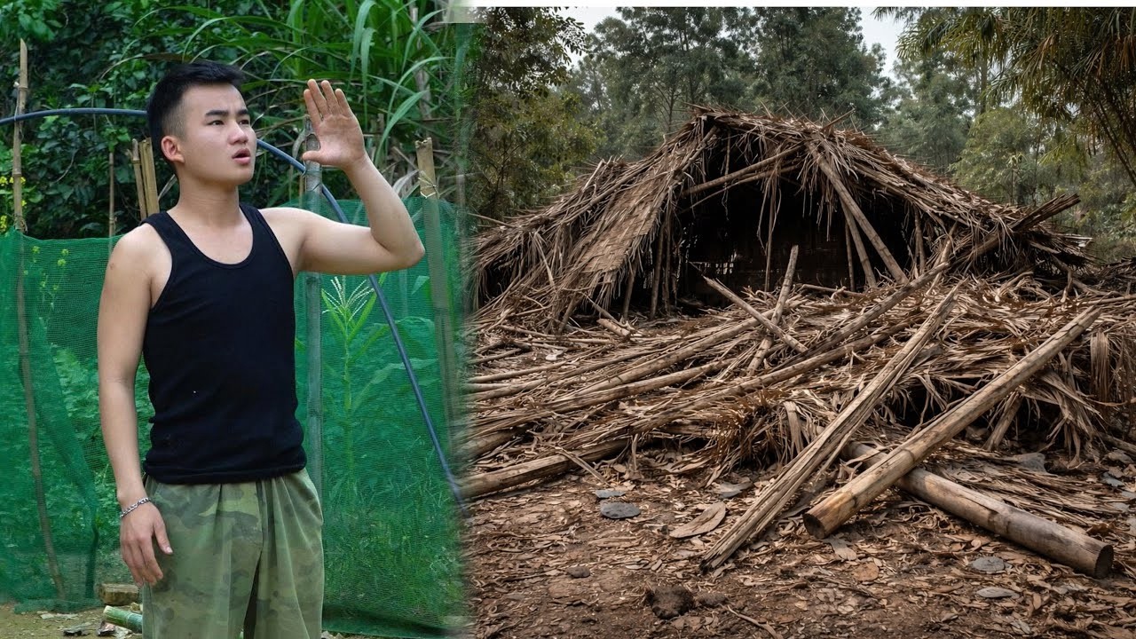 Overwhelmed and Broken, Thanh Dương Searches Desperately for Uyên as His World Falls Apart!