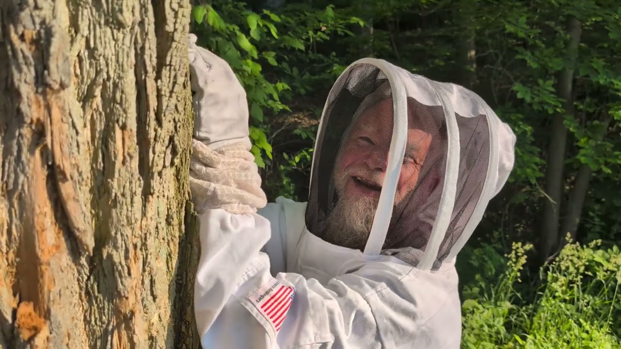 Testing Honey Bee Gone on a Tree Hive 🐝🌳 | Does It Really Work?
