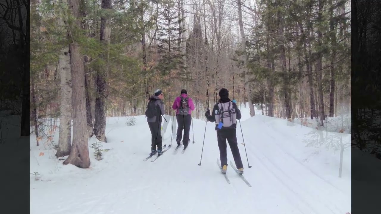 On the Trails of the Bear Notch Ski Touring Center
