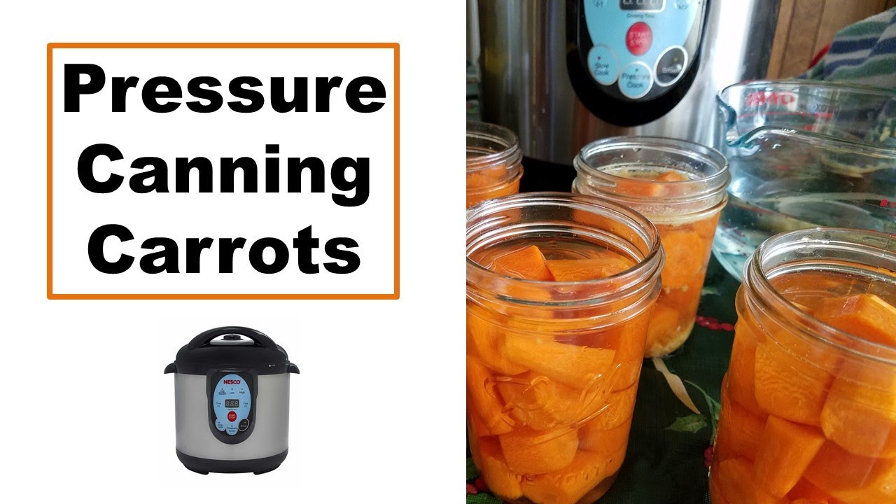 How to Pressure Can Carrots | Pressure Canning Carrots in the Nesco Smart Canner
