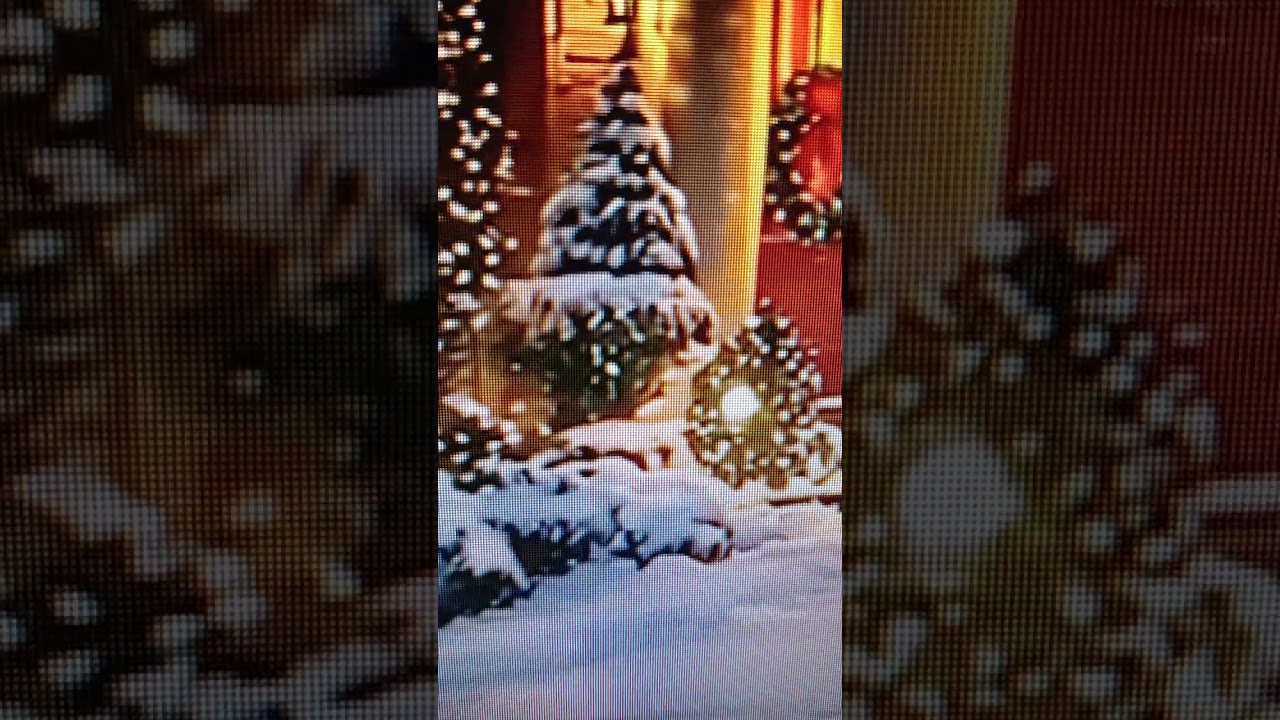 Диван Вон Х. Чем болеет ?Исполняет просьбу зрителей !