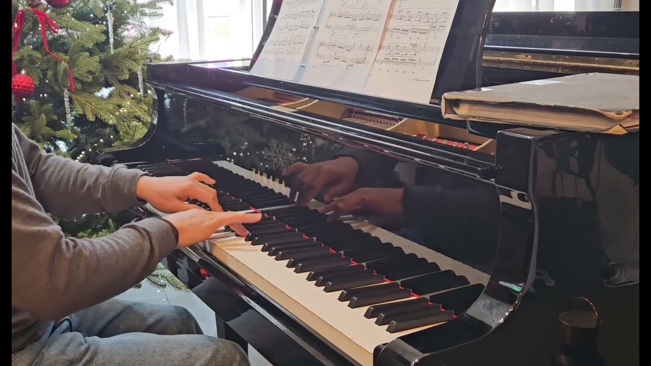 Camille Saint-Saëns 의 동물의사육제모음곡 중 백조(Le Cygne)를 Pavel Godowski 가 솔로피아노로 편곡