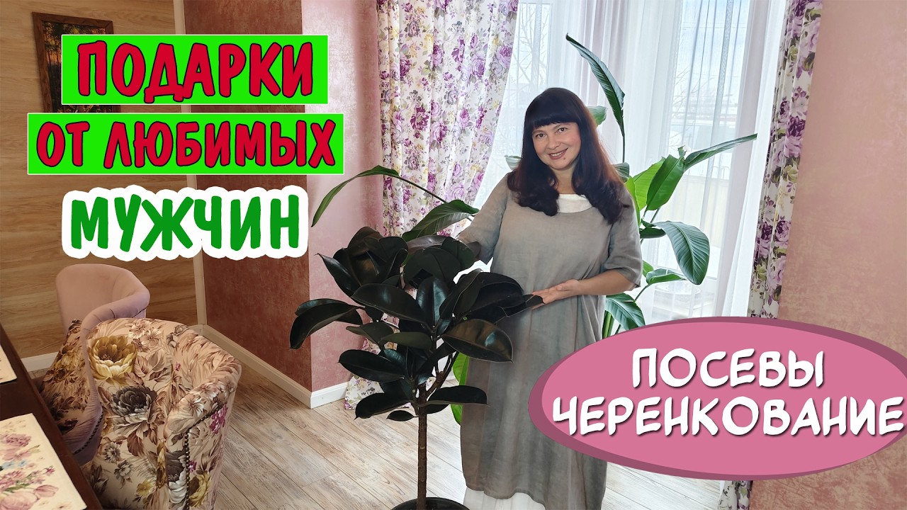 Надарили красоты! Что посеяла и что взошло? Потеряли клубни бегоний 😨