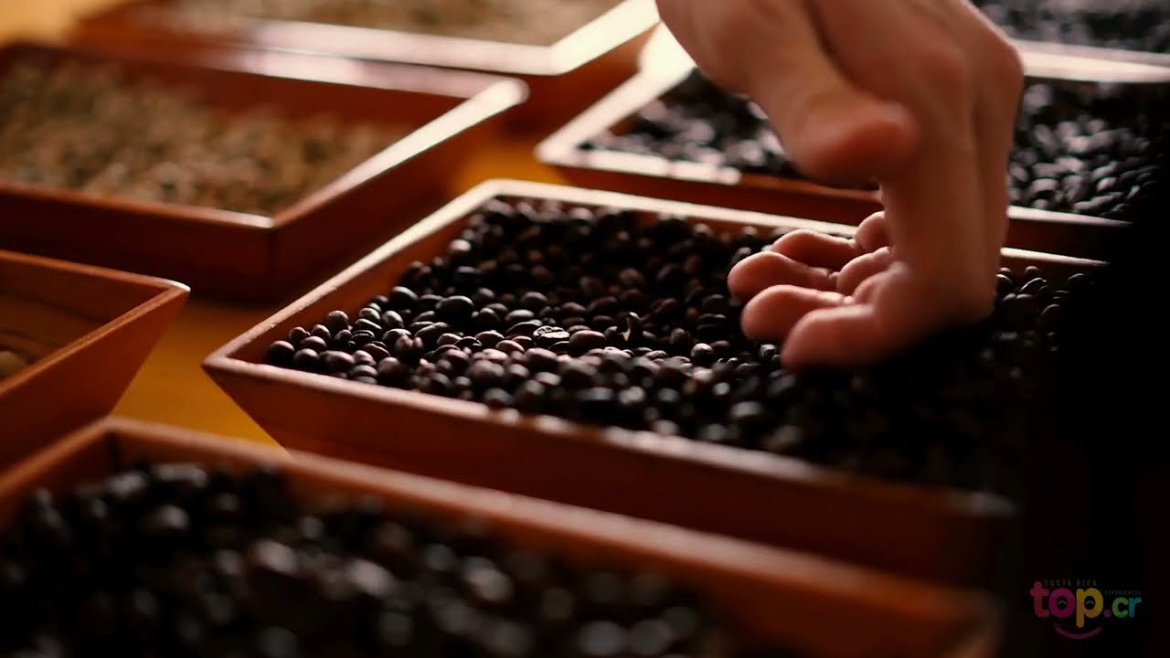 The Doka Coffee Tour is a TOP Costa Rica Experience