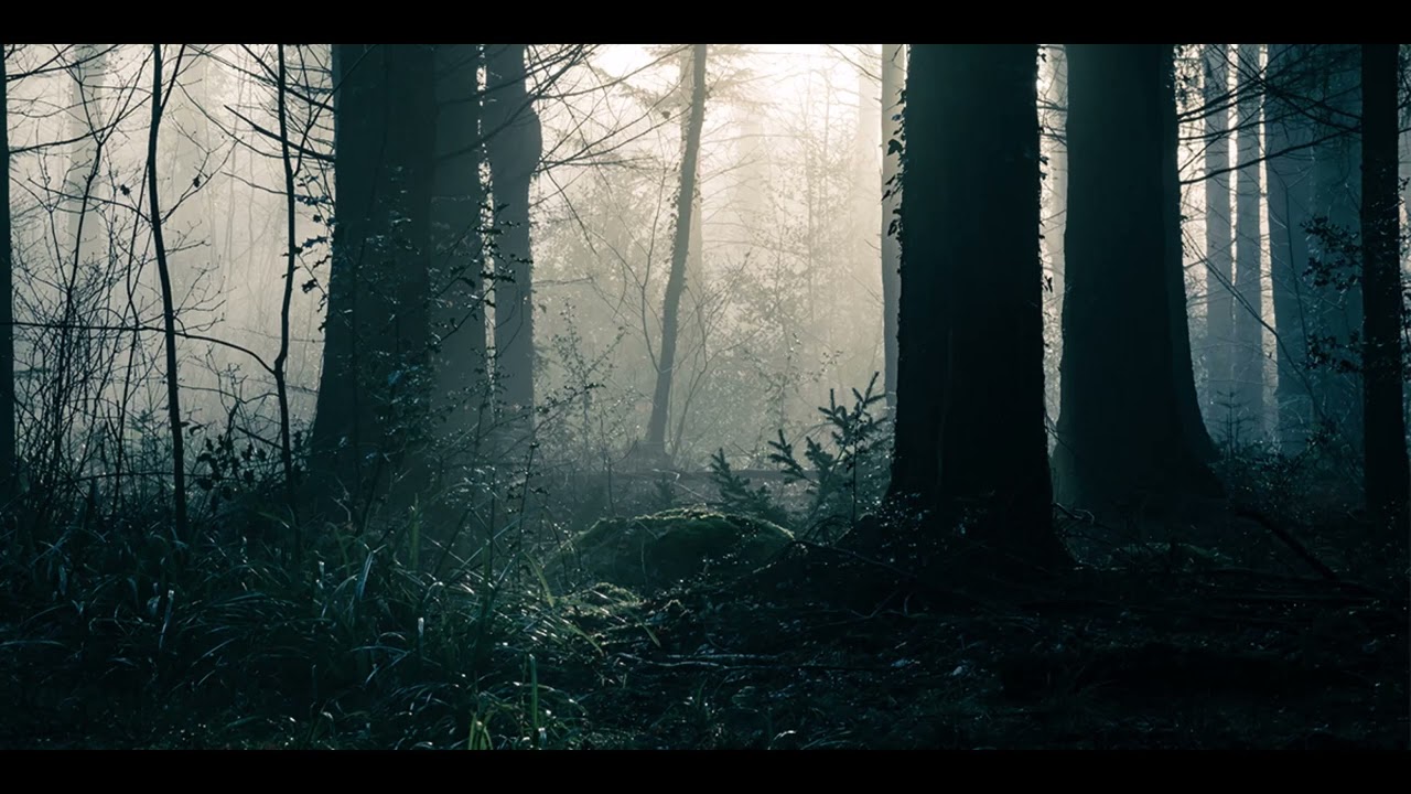 ELECTROVE India, creepy forest mix, with Paul Lefty Wright on esraj, flute, tamburi and tabla,