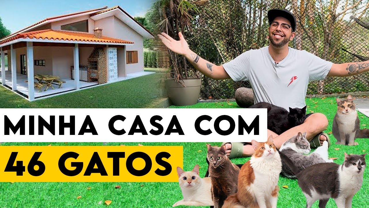 VIVENDO COM 46 GATOS - O PAI DOS GATOS
