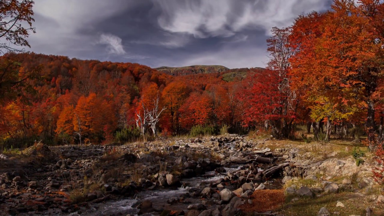 La Magia del Otoño - San Martín de los Andes
