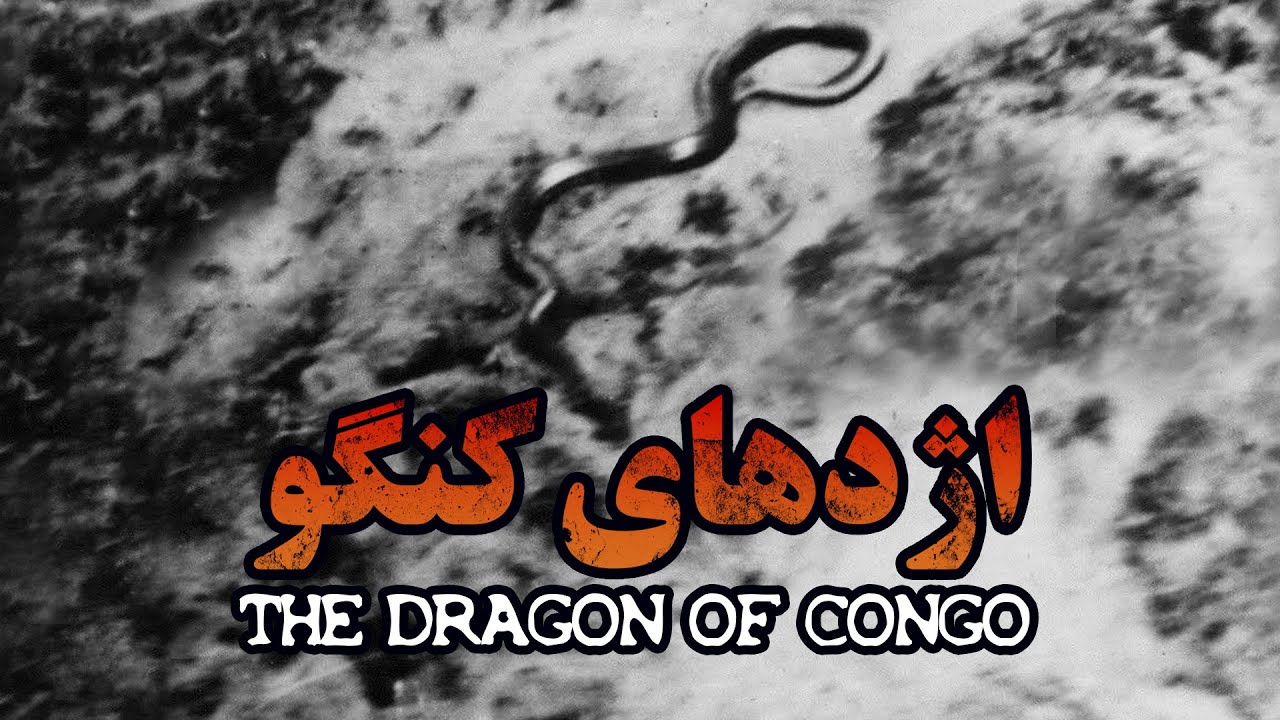 بزرگترین مار جهان، اژدهای کنگو - فیلم مستند کوتاه | The Biggest Snake in the World