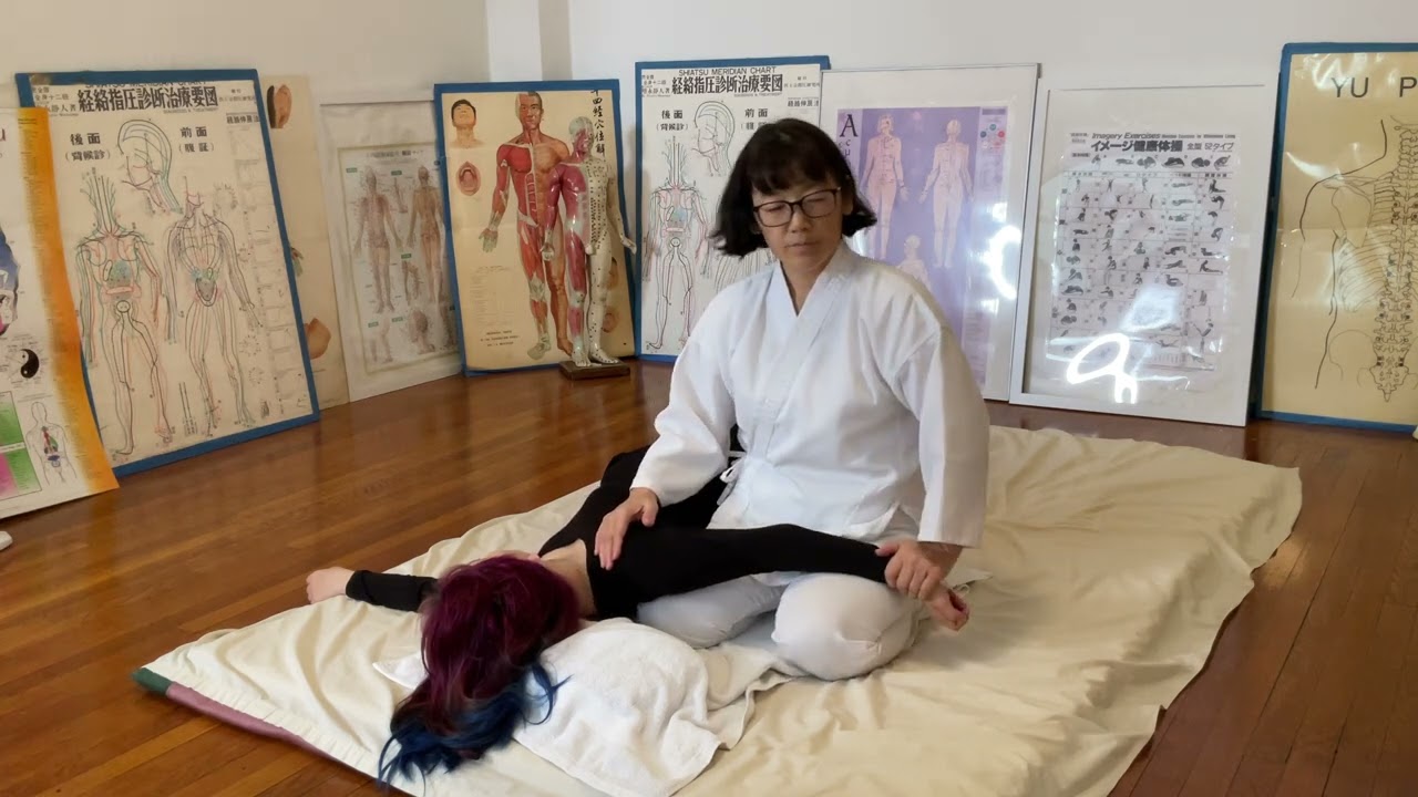Liver meridian (traditional and extension) - side position | Five Lights Center of Shiatsu