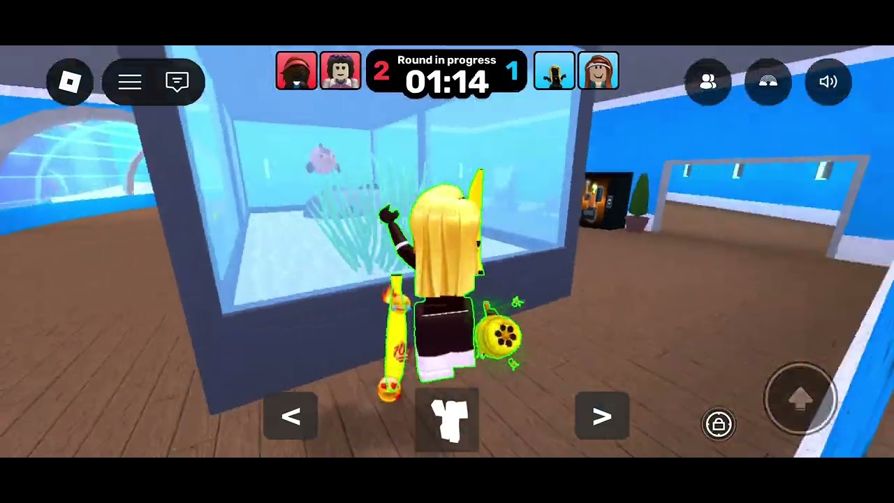 I play 2 games in roblox