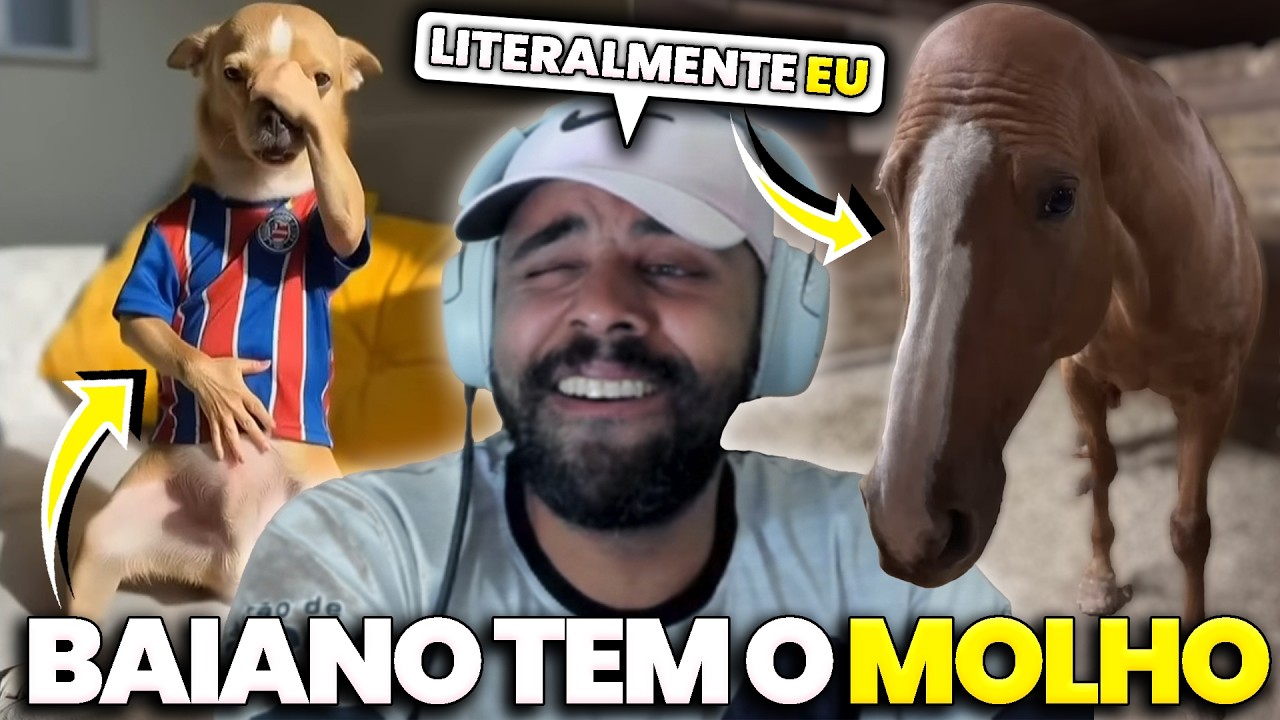REDDIT de CRIA PARA ALEGRAR SEU ALMOÇO