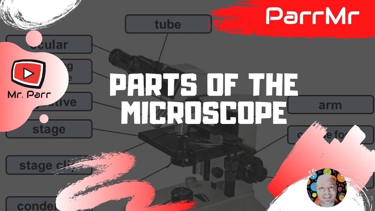 Parts of the Microscope Song
