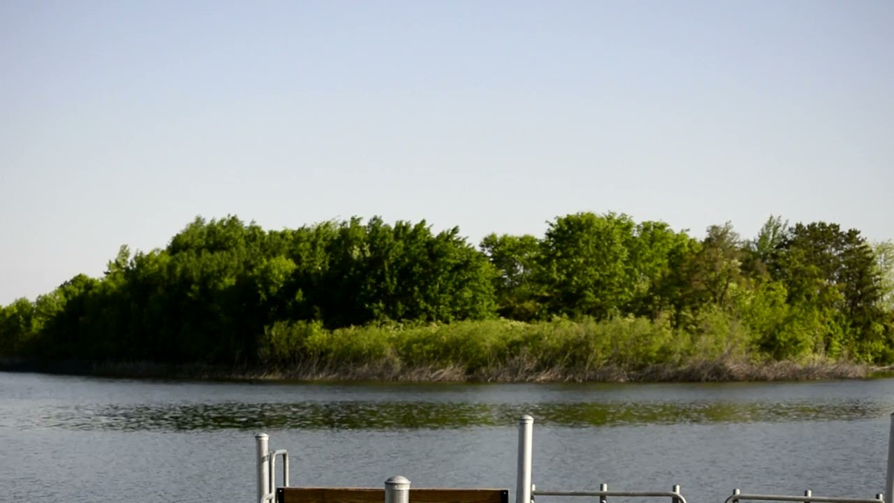 More at hatfield park lake