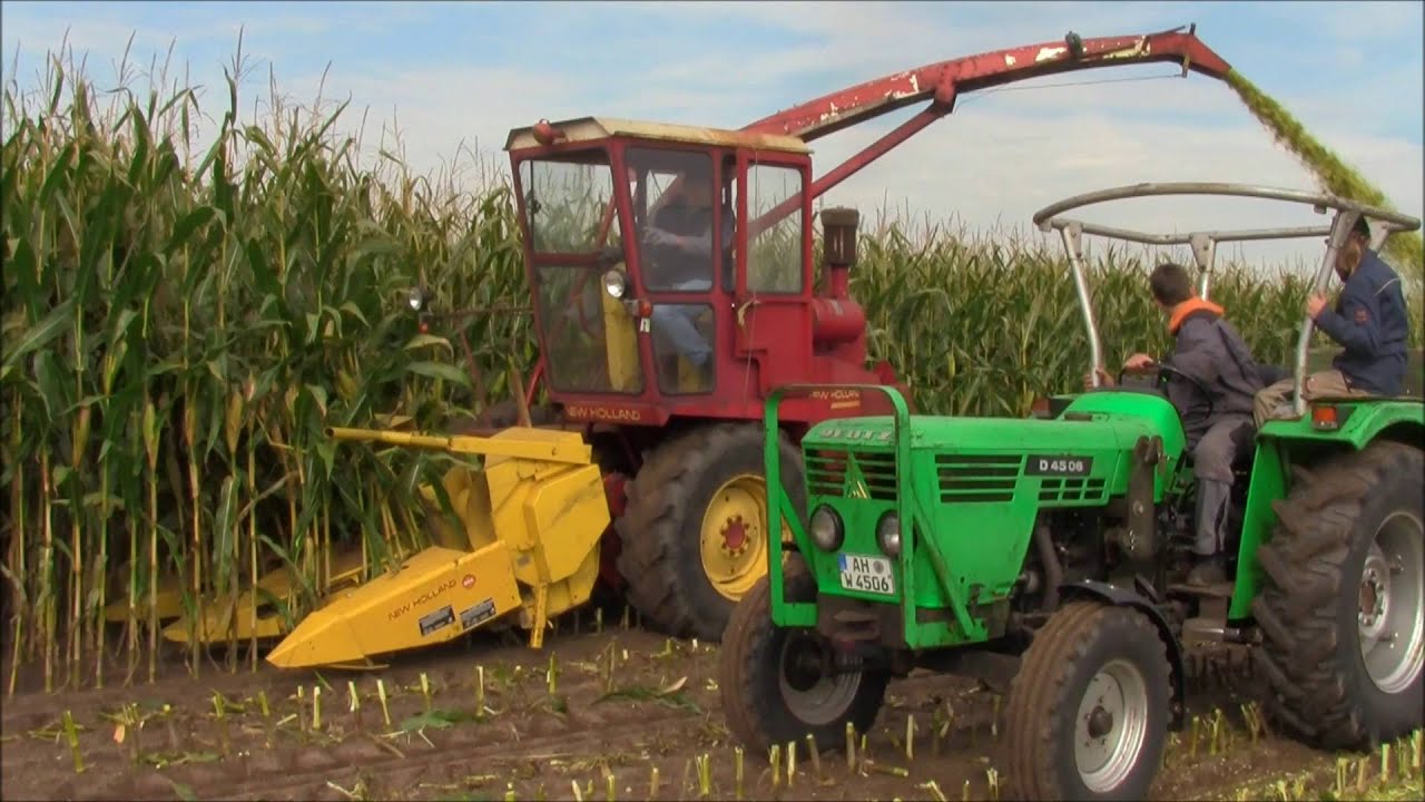 2015-10-03 maishakselen Ellewick deel 2  maish&auml;ckseln / chopping maize / Ensilage &agrave; l'ancienne