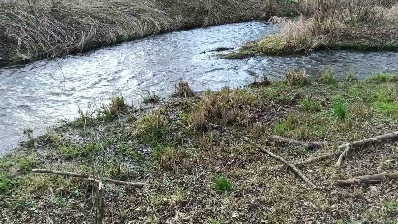 #ПрироданаЮтуб#NatureonYouTube#NaturalezaenYouTube#NaturesurYouTube#NaturezanoYouTube#AlamdiYouTube