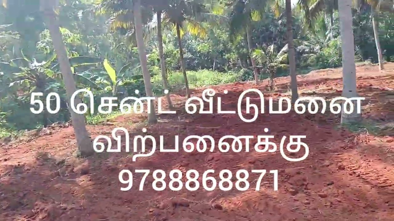 விழுந்தயம் பலம் ஜங்ஷன் அருகே 50 சென்ட் வீட்டுமனை விற்பனைக்கு 