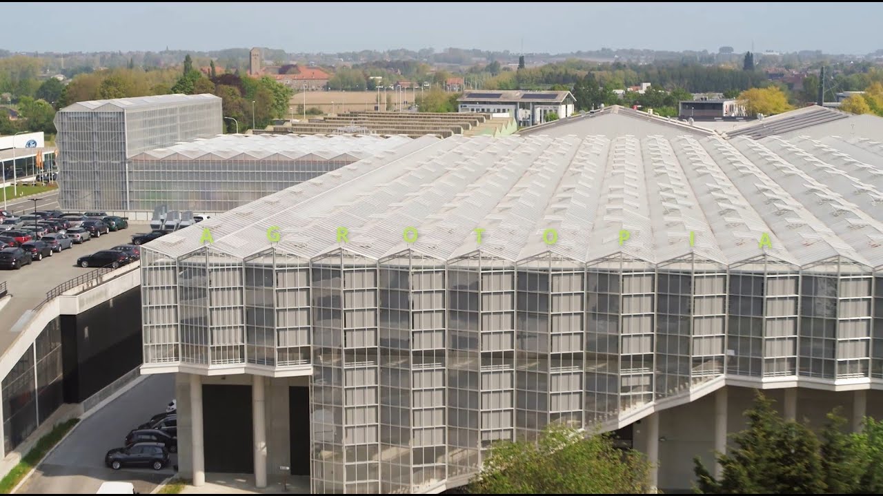 Agrotopia, your international partner for R&D in greenhouse horticulture and urban farming.