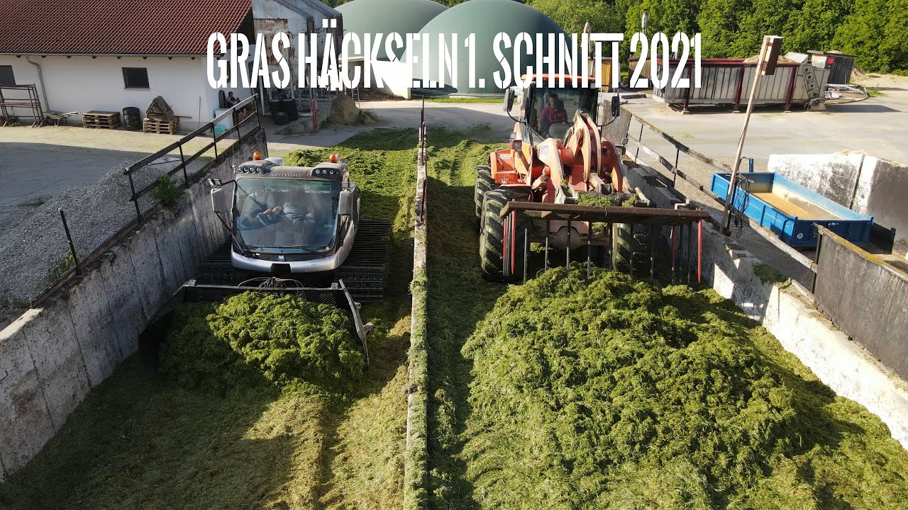Gras Häckseln 1. Schnitt | Claas Jaguar 970 und Prinoth Pistenraupe