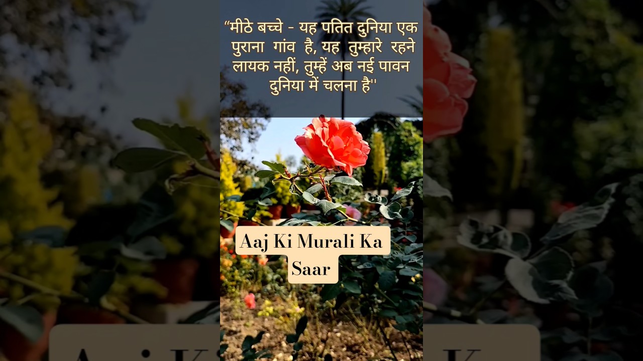 Aaj Ki Murali Ka Saar #shorts  #ytshorts #viral #viralvideo #bkpeacemurli