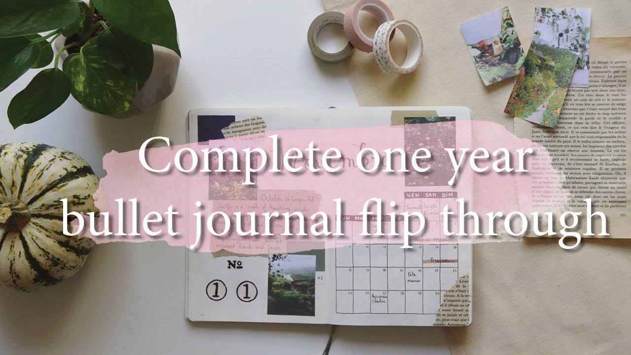 Bullet journal l Complete one year bullet journal flip through (français)