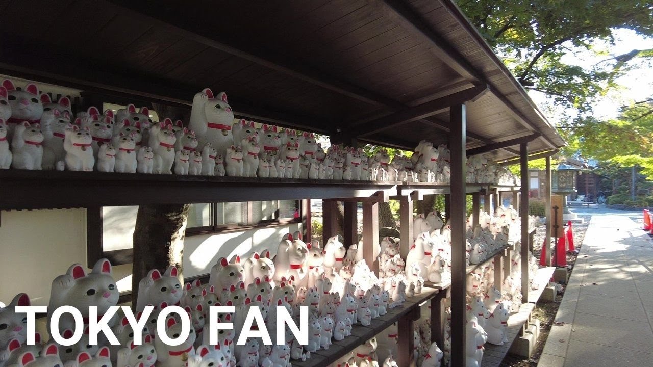 【4K】Tokyo Walk (November 2021) | Gotokuji Temple | a famous temple for beckoning cats