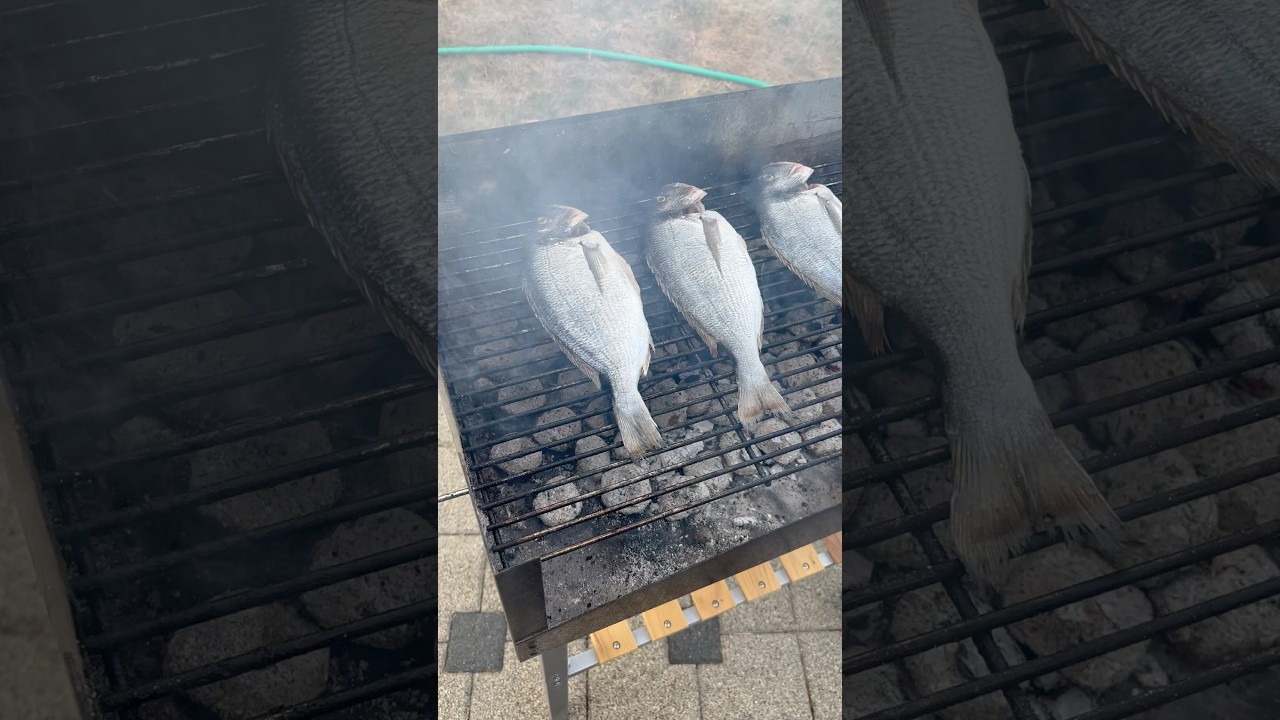 Dorade Grillen lecker und Einfach #fishing #angeln