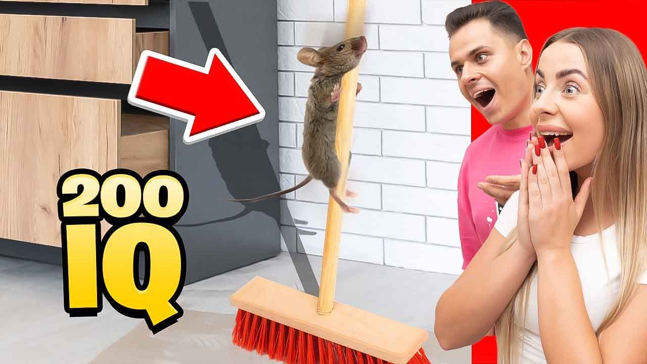ZWIERZĘTA MĄDRZEJSZE OD LUDZI z 200IQ !