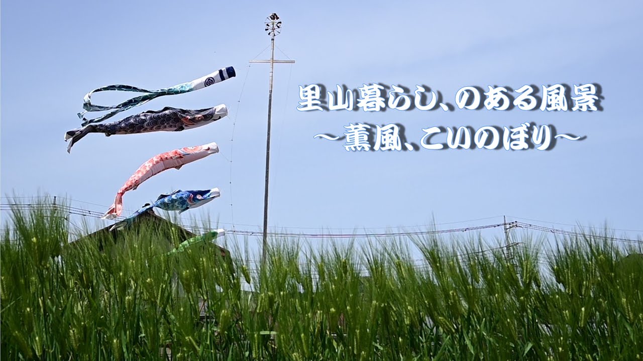 【小峰公園】里山暮らし、のある風景～薫風、こいのぼり～
