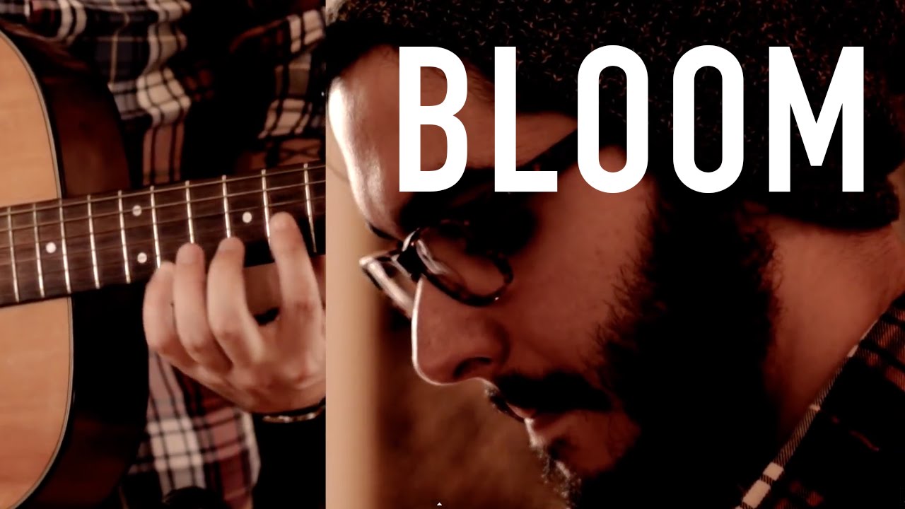 Bloom - The Paper Kites (Cover)