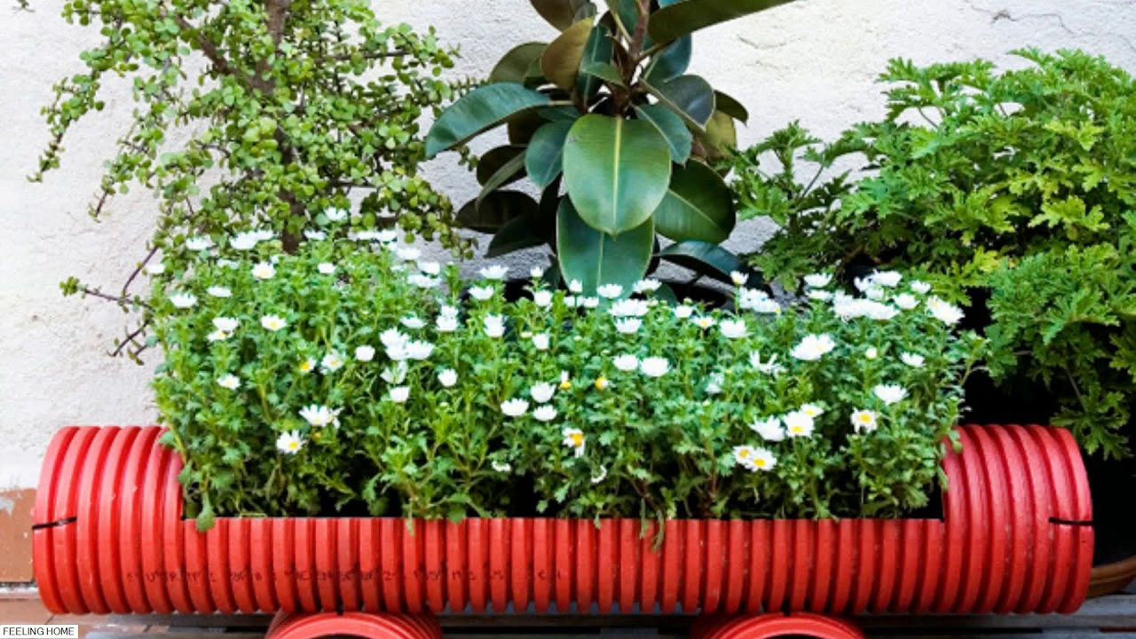 Top 50 Unique Flower Pot Ideas 2018 - Creative DIY Flower Pot