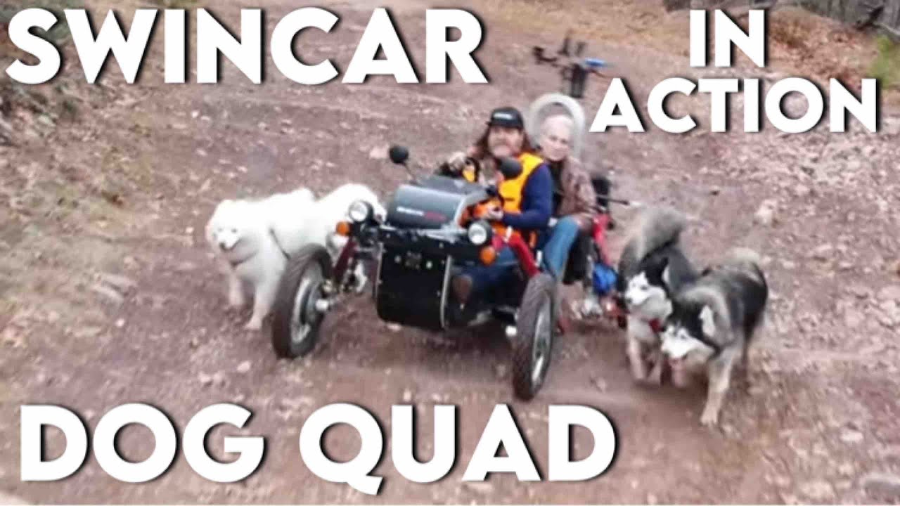 WooFDriving The Swincar