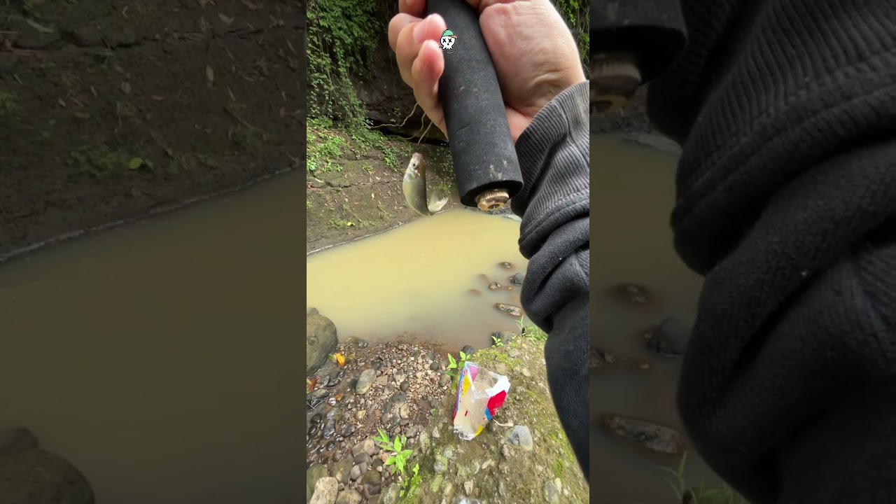 Micro fishing Sukun Pulung Ponorogo
