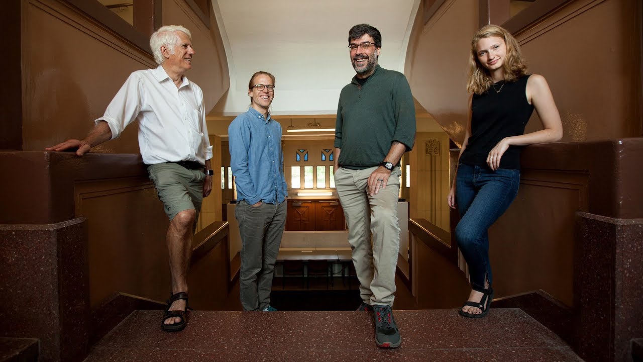 Scientists determine four personality types based on new data