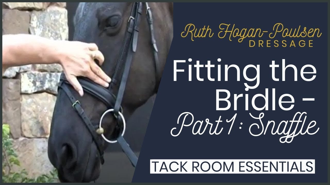 Fitting a Bridle - Part 1: Snaffle Bridle | Tack Room Essentials with Ruth Hogan Poulsen