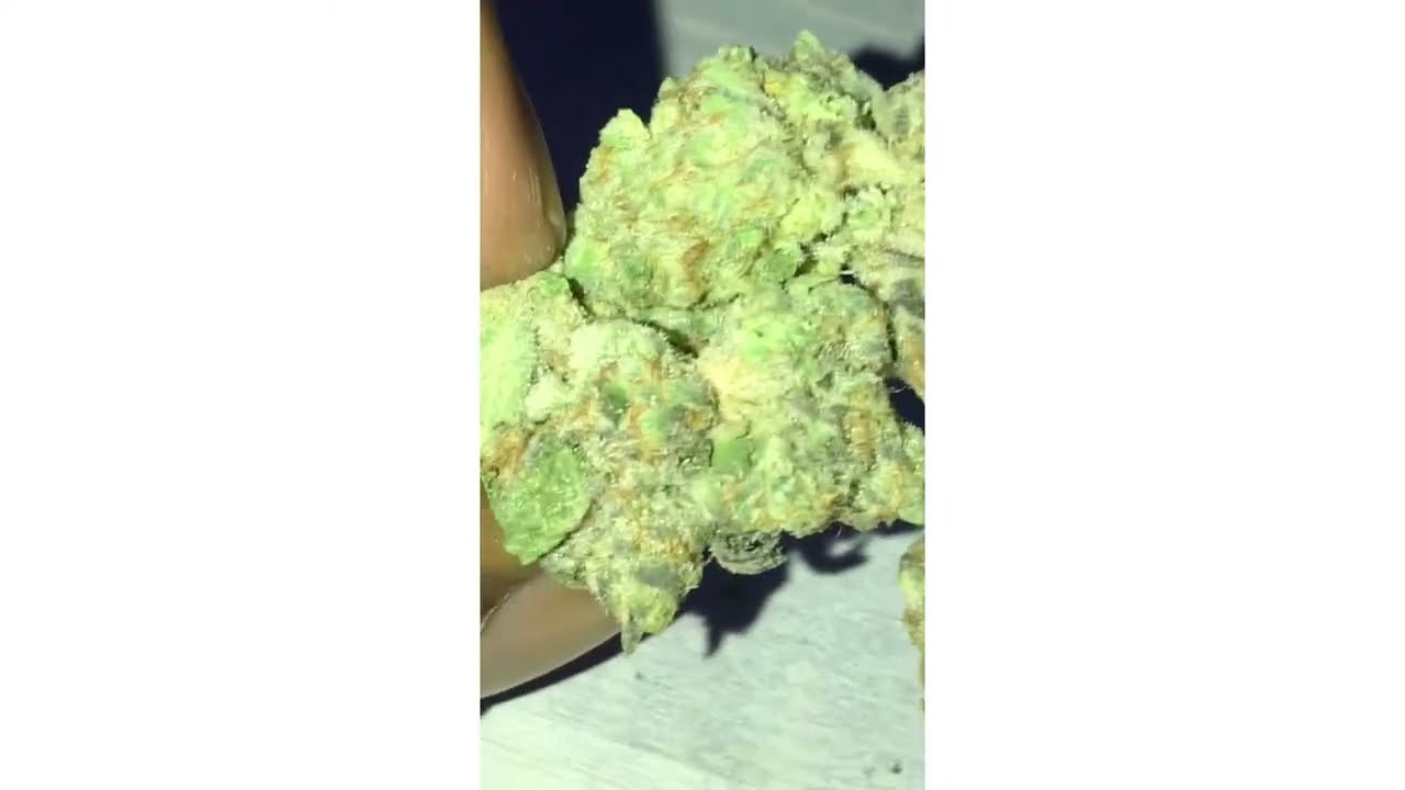 Berry Pie Strain Review ( Smk Brk 420 )