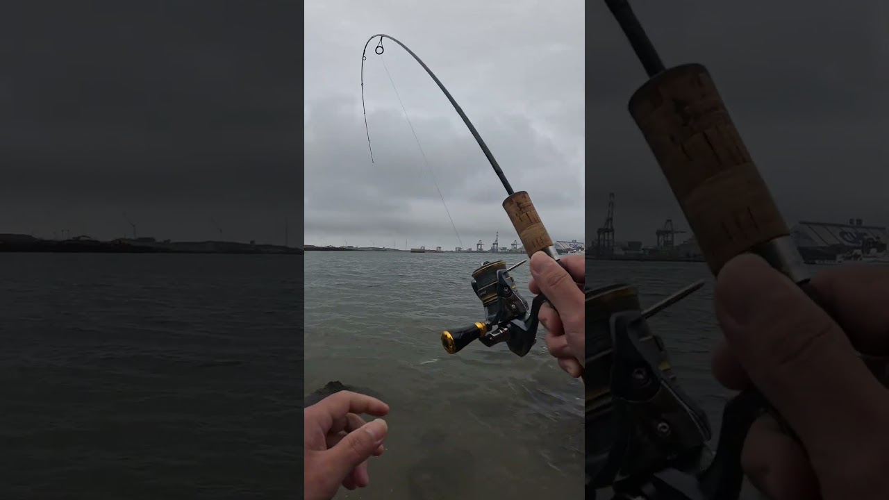 Casting pinggiran Baby Gt 