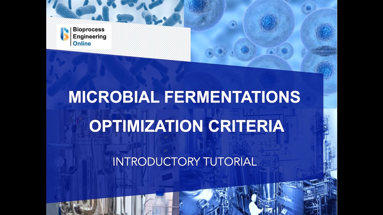 Microbial fermentations optimization criteria