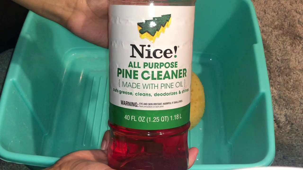- ASMR - Nice Pine Cleaner! 🌲❗️