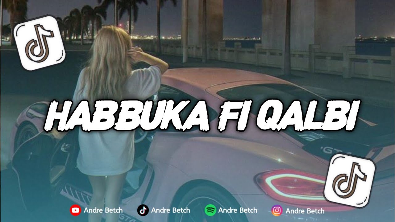 DJ HABBUKA FI QALBI VIRAL TIKTOK 2026