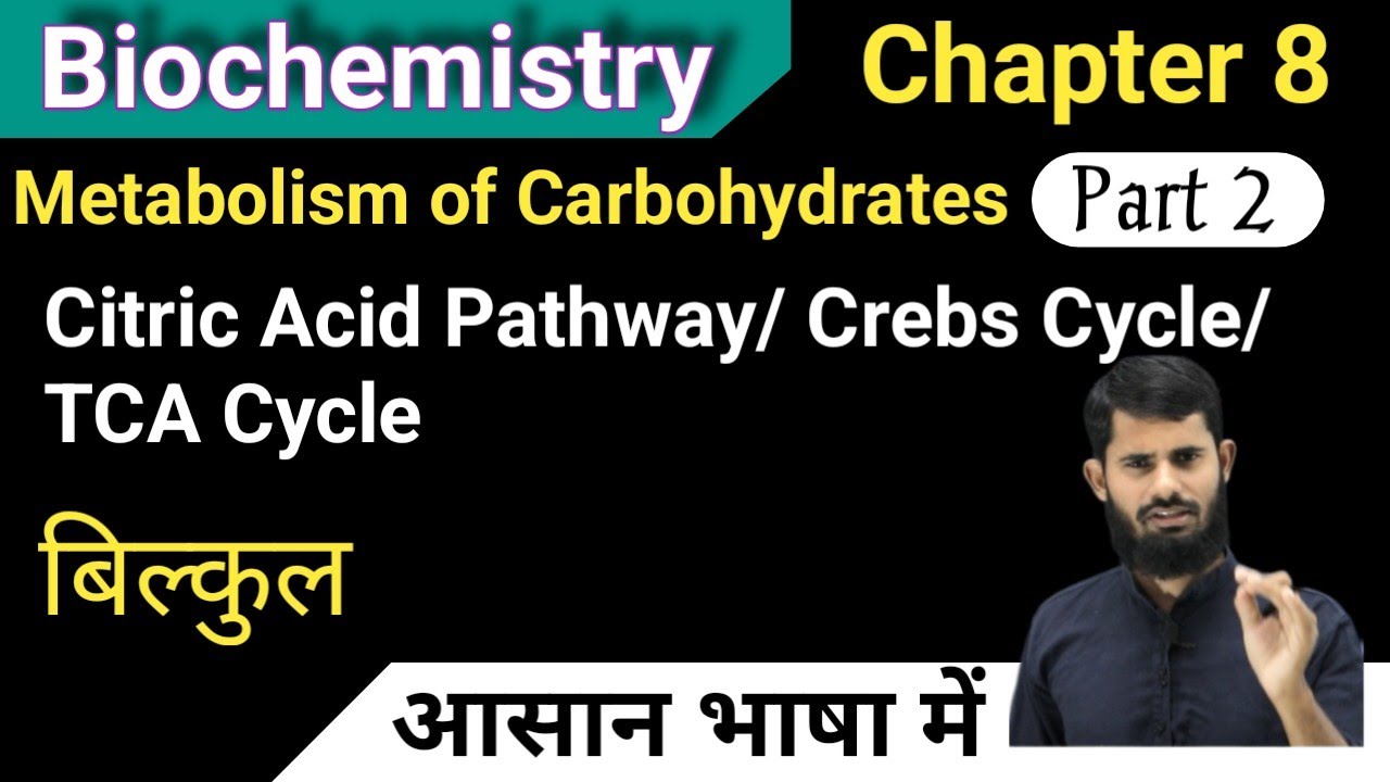 Citric Acid Pathway || Crebs Cycle || TCA Cycle