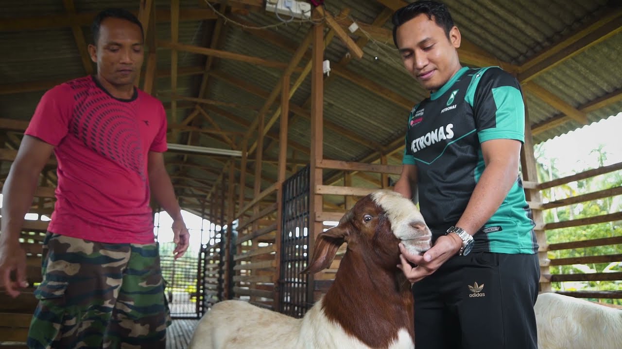 Cerita Agropreneur Kita . Ep.5: “Pesara Tentera Penternak Kambing Berjaya”