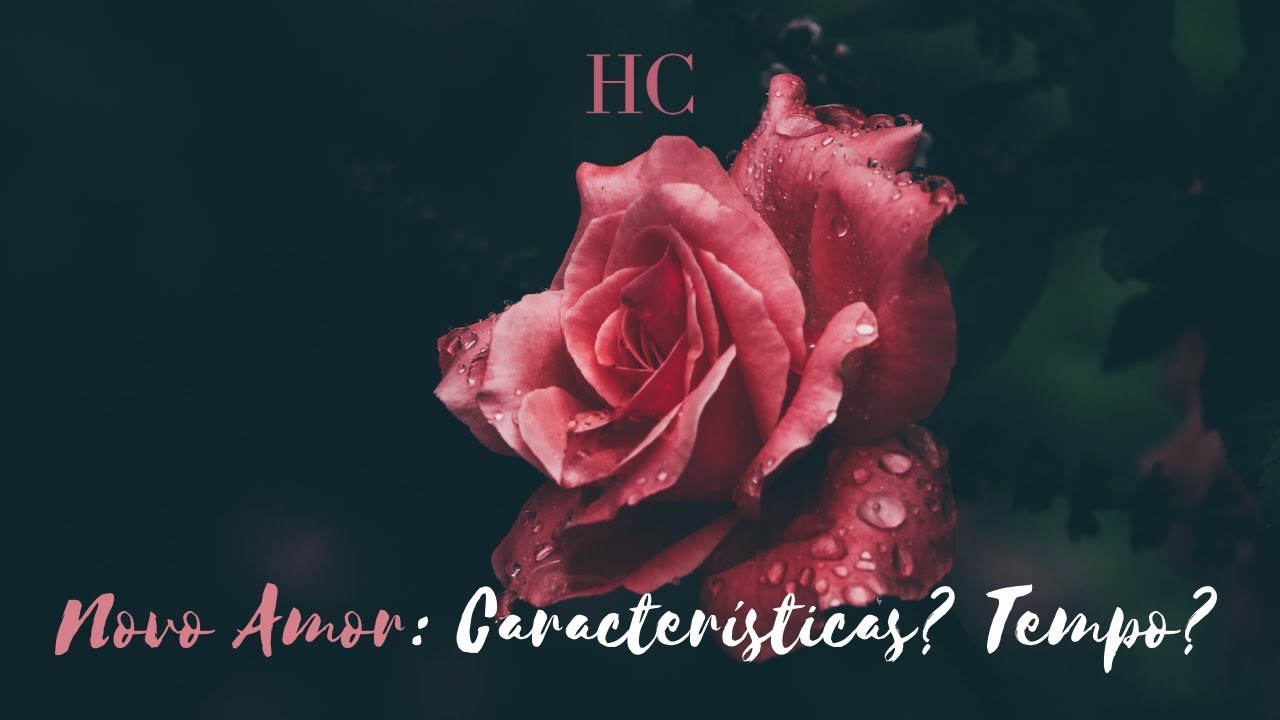 Novo Amor: Características? Tempo? Descubra agora com as cartas ciganas!