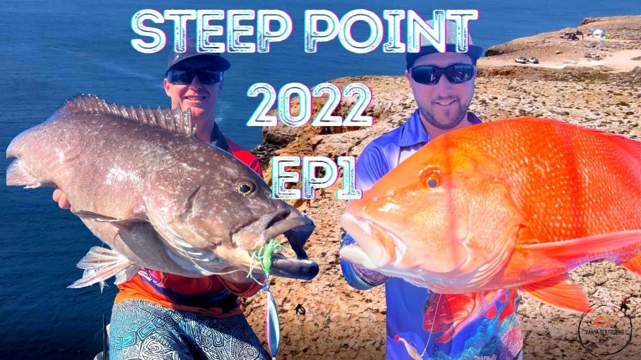 Steep Point 2022 EP1: красный императорский тунец, ранкин, жемчужный тунец и желтоперый тунец. Ры...
