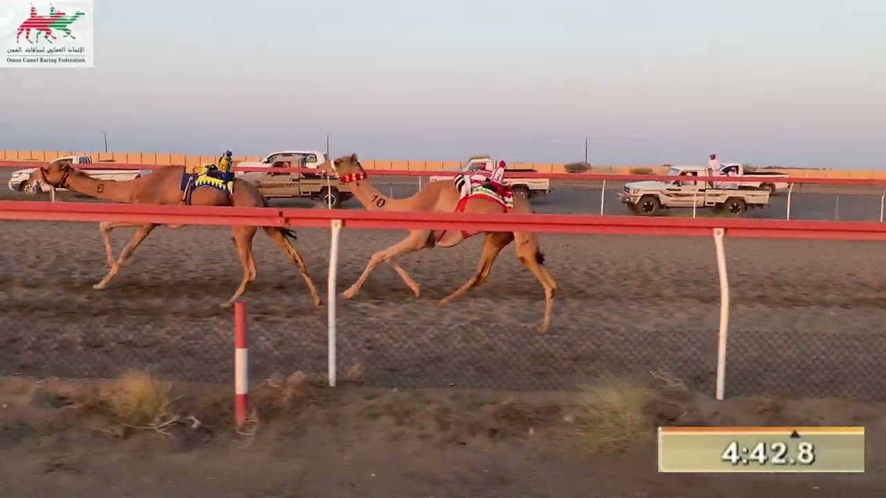 شوط ٣ اليذاع ميدان الفليج ١٤/١٢/٢٠٢٣