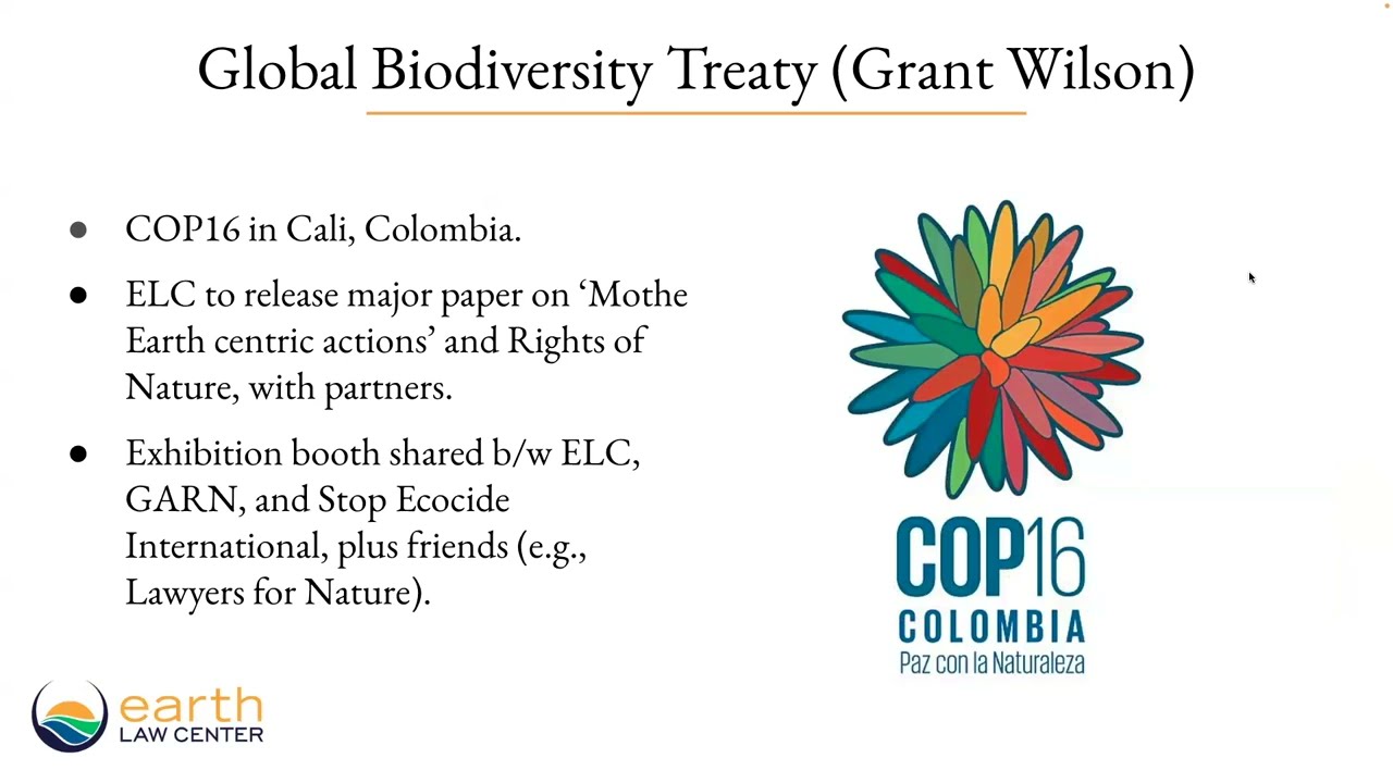Earth Law Briefing - August 13, 2024